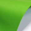Бумага цветная плотная Paperline 250 листов (А4, 160гр.), цвет Parrot (насыщенный зелёный), 230